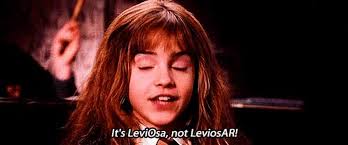 Image result for win guardian leviosa