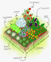 Planning Your Garden Foxridge