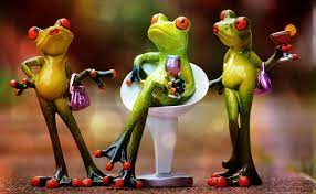 frogs drink celebrate funny party