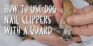 dog nail clippers with a safety guard