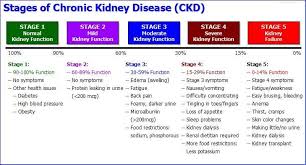 Kidney Disease In Diabetics Diabetic Kidney Disease Stages