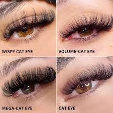 cat eyelash extensions all about the