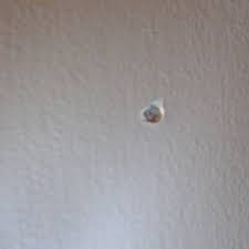 fixing and reparing nail pops in drywall