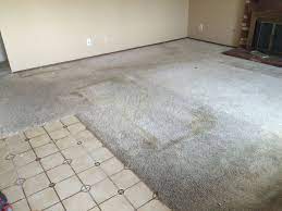 professional carpet cleaning hot water