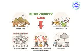 Loss of Biodiversity: Definition, Causes, Examples, Prevention - Embibe