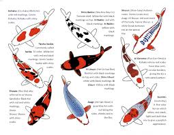 Downloadable Koi Chart Page 2 In 2019 Koi Fish Drawing
