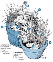 Beautiful Aquatic Plants In Containers