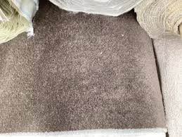 brown carpet in adelaide region sa