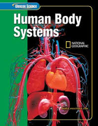 glencoe science human body systems