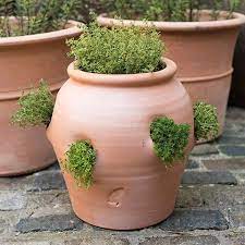 Buy Terracotta Herb Pot Strawberry Pot