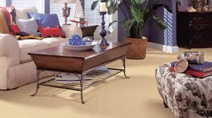 best 15 flooring companies installers