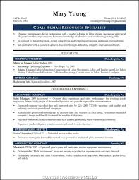 Hr Resume Buzz Words Resume Of A Bilingual