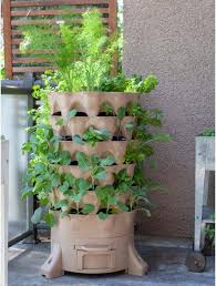 Container And Small Space Gardening