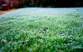 Lawn And Garden For Winter