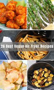 26 best vegan air fryer recipes