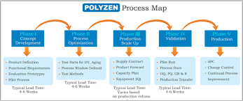 Process Map Chart Polyzen