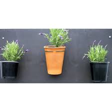 Pot Plant Holder Fixed To Wall Coloured