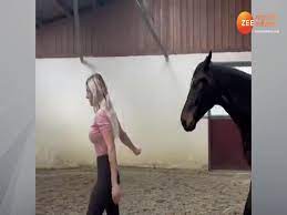 Girl and horse viral video Bridle fooled horse ladki or ghode ka video |  Girl-horse Video: लड़की को देखकर घोड़ा करने लगा ये चीज, देखिए VIDEO | Zee  News Hindi
