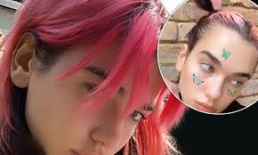 The color provides contrast which is gorgeous and very trendy. Dua Lipa Shows Off Her Newly Dyed Pink Hair As She Keeps Entertained In Lockdown Daily Mail Online