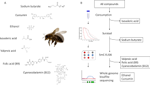 bioactive food compounds in honey bees