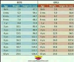 12 Precise 14 Year Old Boy Height Weight Chart