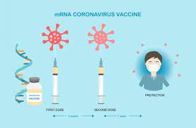 How breakthrough mRNA vaccines from Pfizer and Moderna work