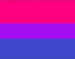 The transgender pride flag, as designed by monica helms in 2000. Bi Pride Flag Etsy