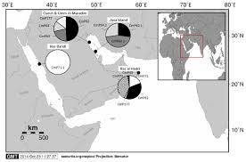 Mtn 156 16 20 Identification Of Chelonia Mydas Populations