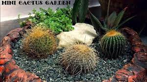 19 Diy Cactus Garden Ideas How To