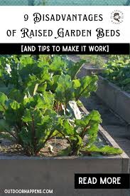9 Disadvantages Of Raised Garden Beds