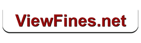 view fines portal