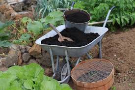 Healthy Soil For Growing Vegetables
