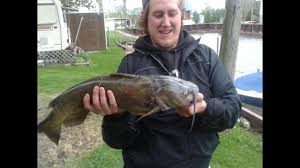 Catfish Videos Fishing For Beautiful Cat Fish Lake St Clair