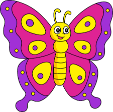 erfly cartoon colored clipart