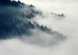 تسمى الغيوم التي تكون بالقرب من سطح الارض الطيبه