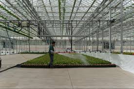 cost to build a commercial greenhouse