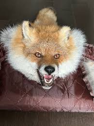 red fox decorative carpet made of