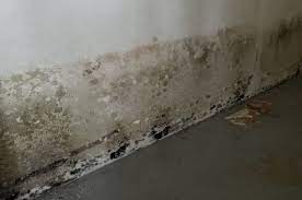preventing basement mold