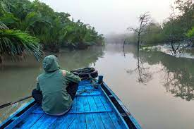 7 top sundarban tour operators and packages