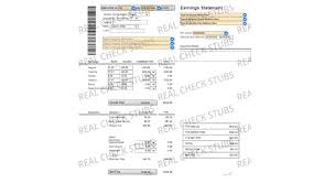 free editable pay stub fill in blanks