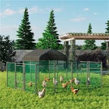 wire mesh fencing run backyard poultry