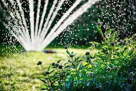 Irrigation 101 Watering Your Garden