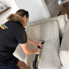 the best 10 carpet cleaning in torquay