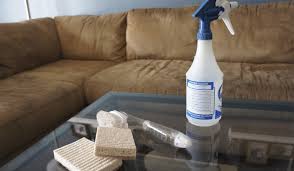 how to clean urine on a sofa answer