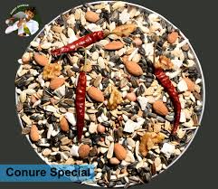 conure specia mix seed 950gm parrot