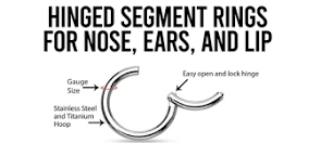how-does-a-segment-ring-work