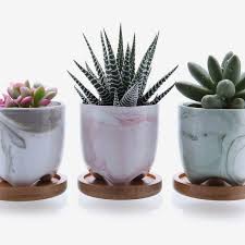 46 Best Pots And Planters On