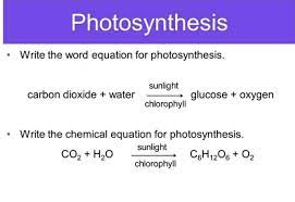 write the chemical equation for