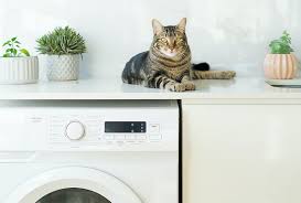 my washing machine smells like cat