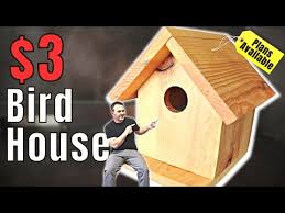 Simple Cedar Bird House For 3